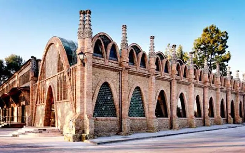 Bodegas Codorniu 