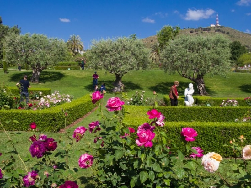 Concurso Internacional de Roses Noves 