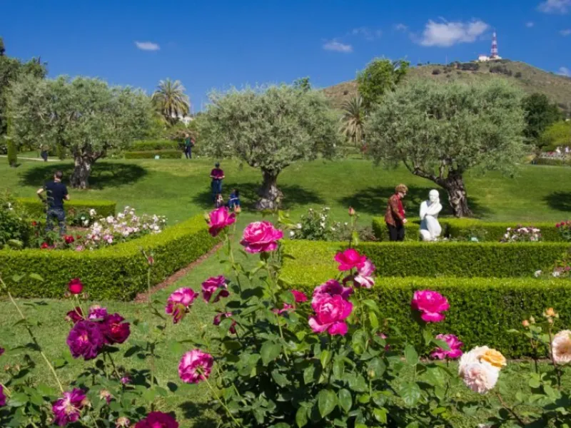 International Competition of Roses Noves 